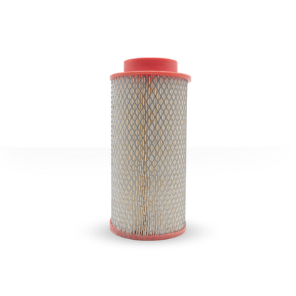 30037774 Filtro de Aire Compatible con Woodward Sales