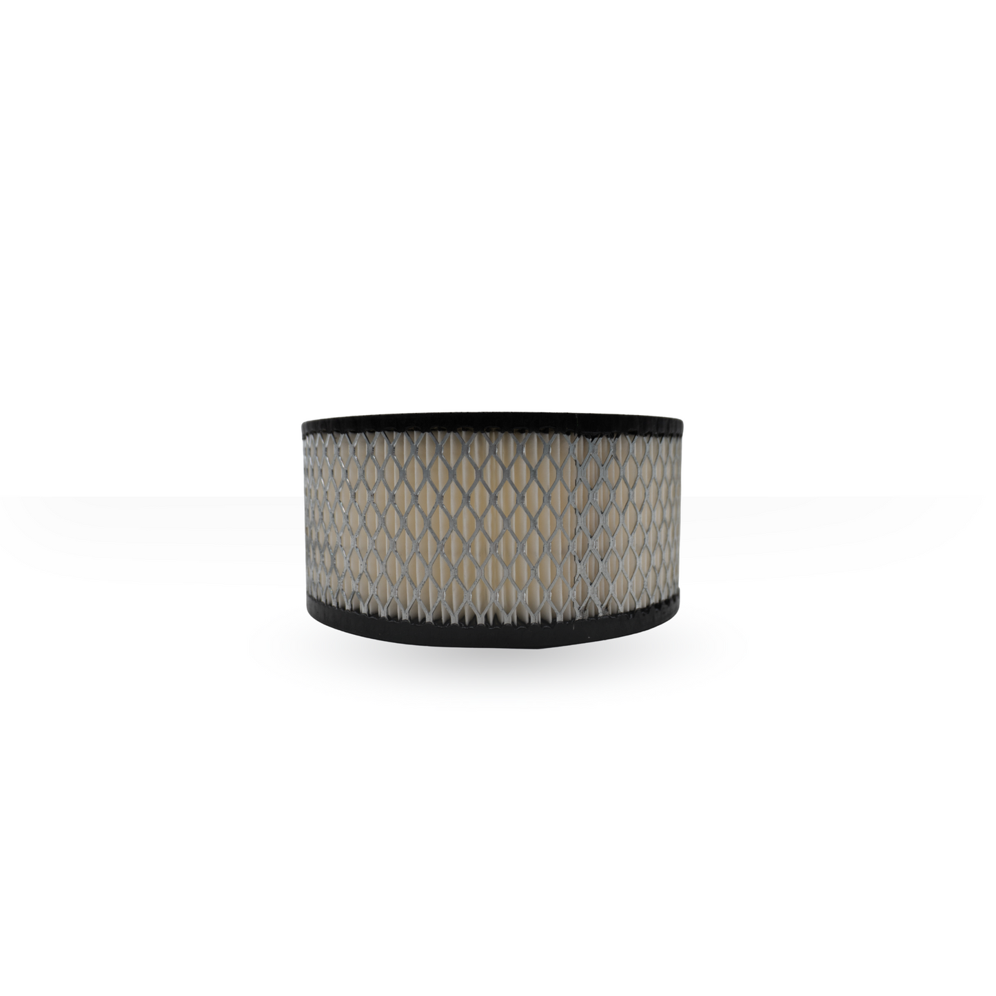 1260005 Filtro de Aire Compatible con Fs Curtis