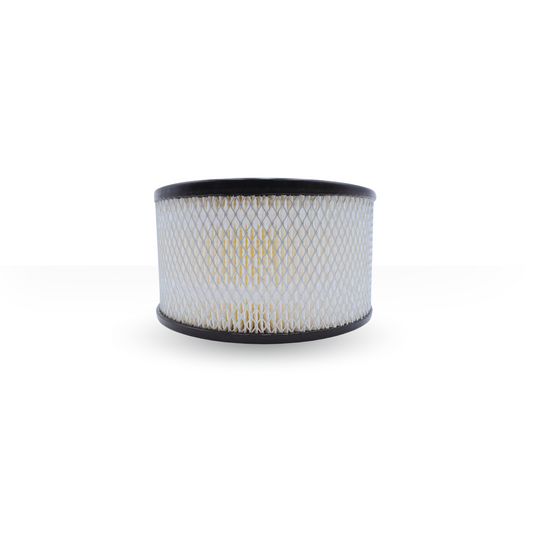 P07171A Filtro de Aire Compatible con Champion
